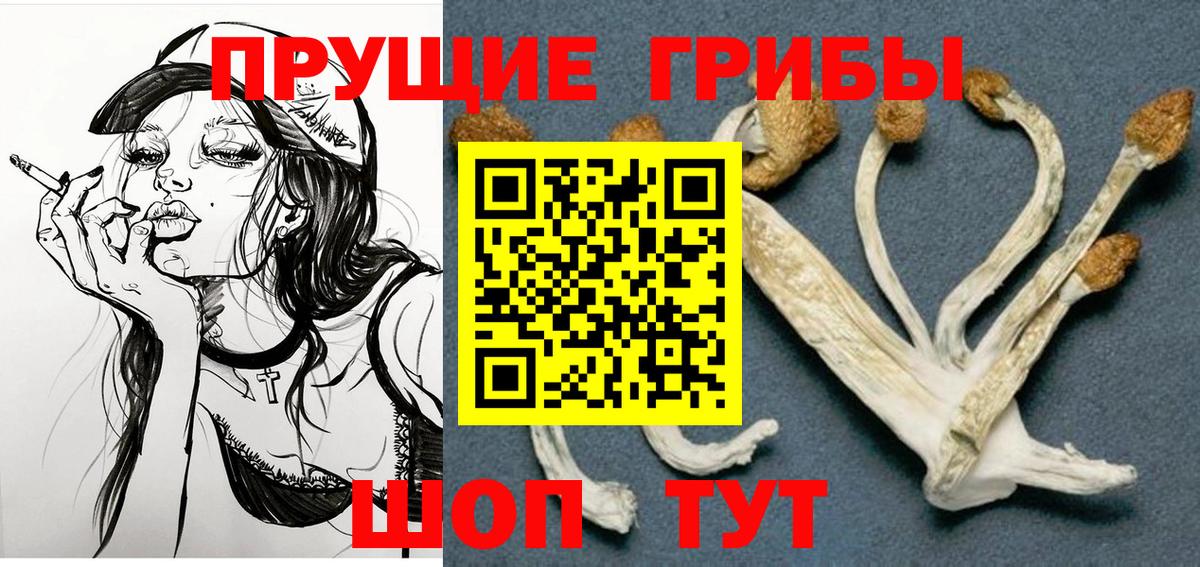 Стрежевой  даркнет сайт  Вход с VPN  Псилоцибиновые грибы мицелий  Галлюциногенные грибы GOLDEN TEACHER 